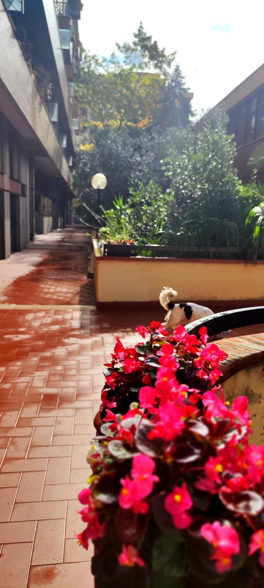 Gemme Fiorentine Apartments In Front Of The Train Station 5 Minutes From The Centre Free Parking 피렌체 외부 사진