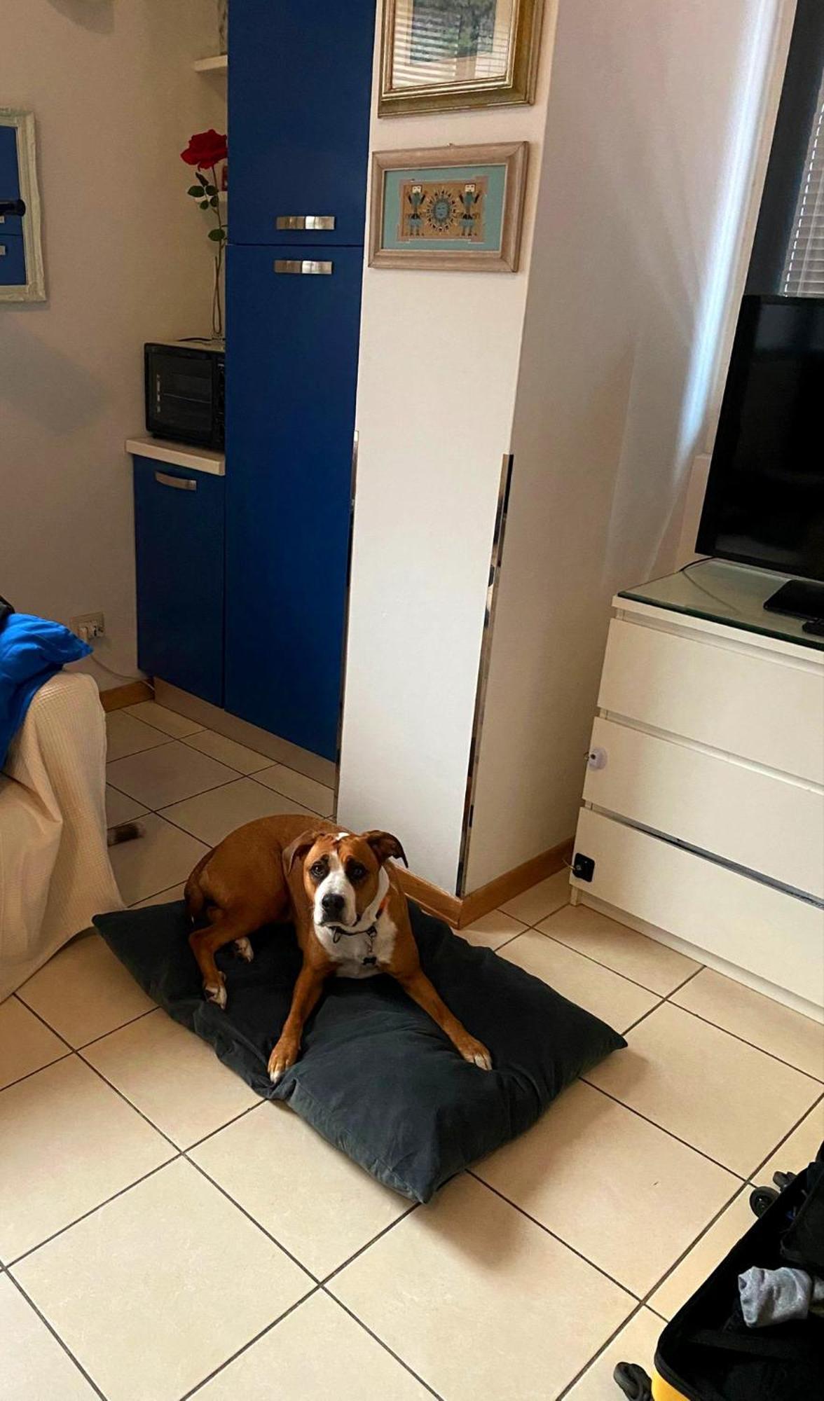 Gemme Fiorentine Apartments In Front Of The Train Station 5 Minutes From The Centre Free Parking 피렌체 외부 사진