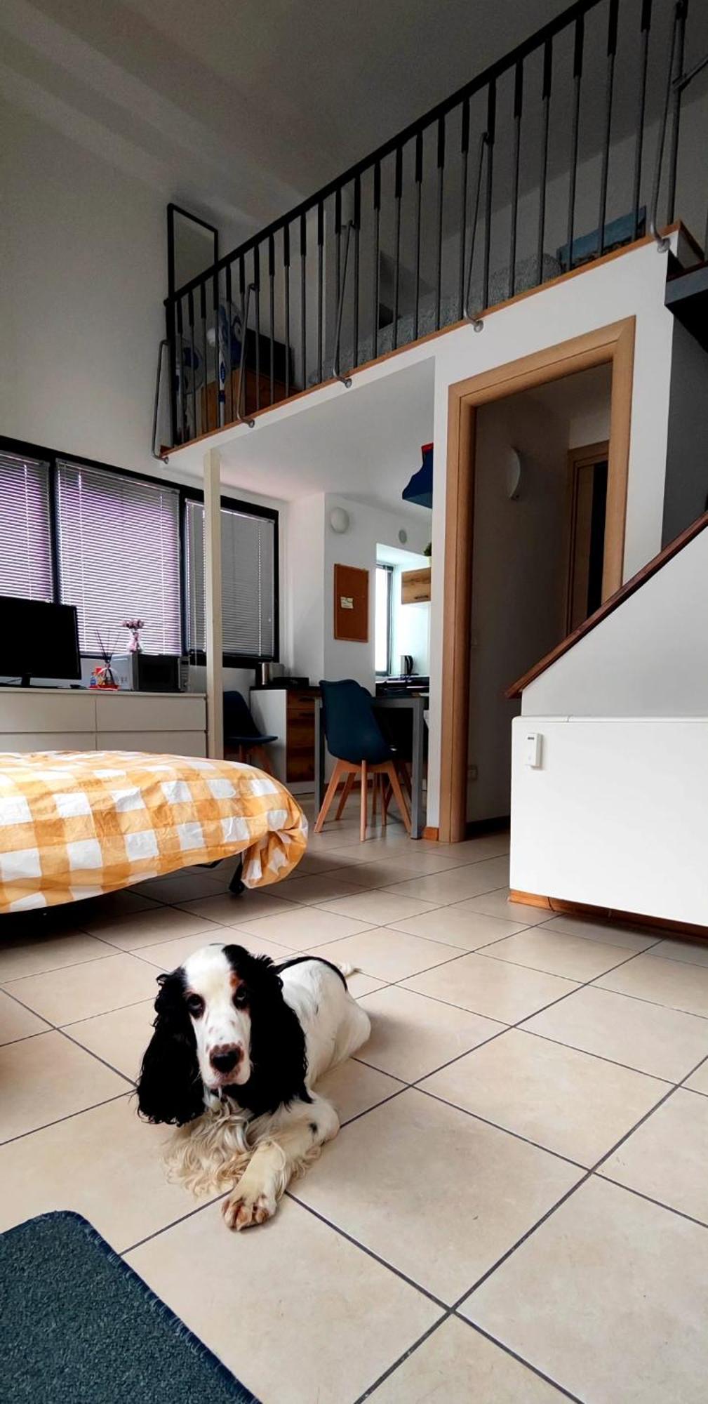 Gemme Fiorentine Apartments In Front Of The Train Station 5 Minutes From The Centre Free Parking 피렌체 외부 사진
